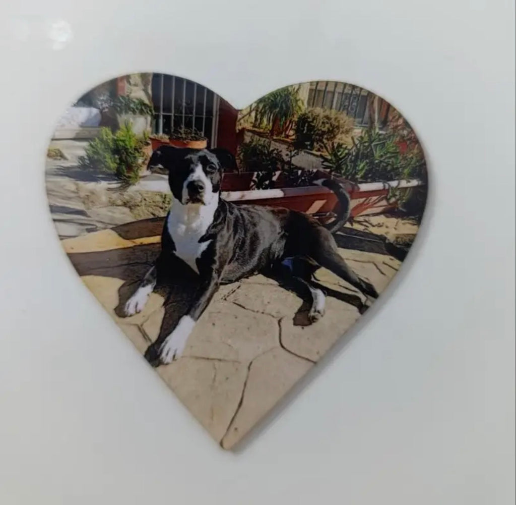 Custom Photo Fridge Magnet – Personalised – 4 Shapes Available